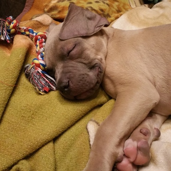 Meet your Posher, Cynthia - Picture 1 of 1